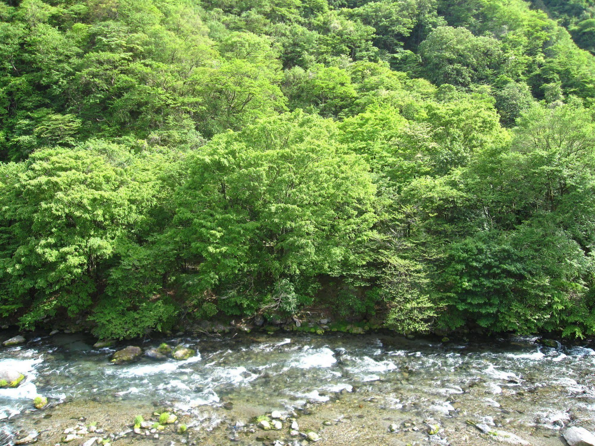 Hotel Koduchi No Yado Tsurukamedaikichi Nikko Exteriér fotografie